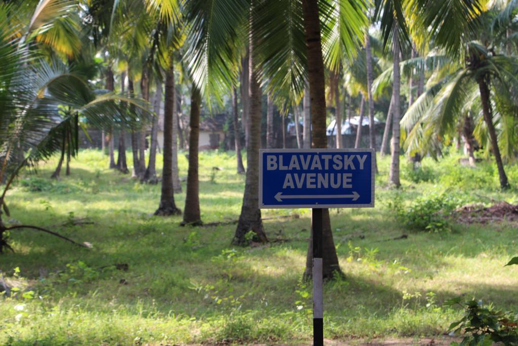 Blavatsky Avenue