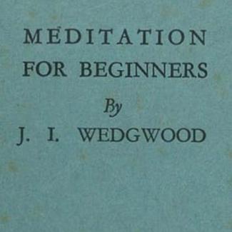 Meditation for Beginners bu J I Wedgewood