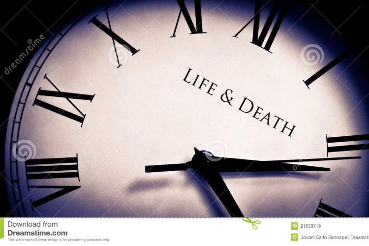 Life After Death