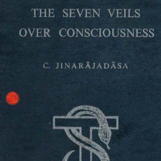 The Seven Veils over Consciousness